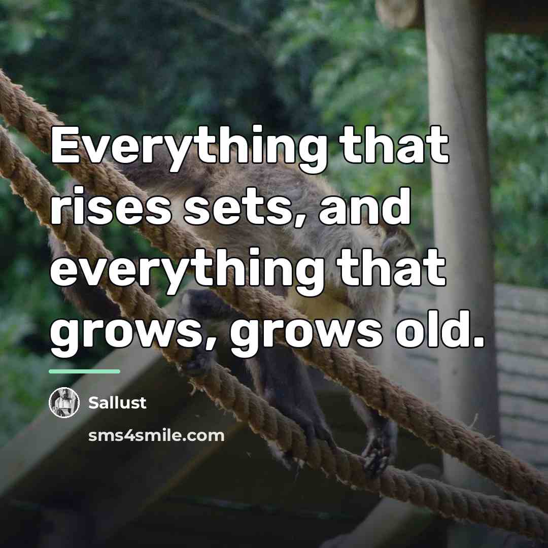 “Everything that rises sets, and everything that grows, grows old.…” quote by Sallust