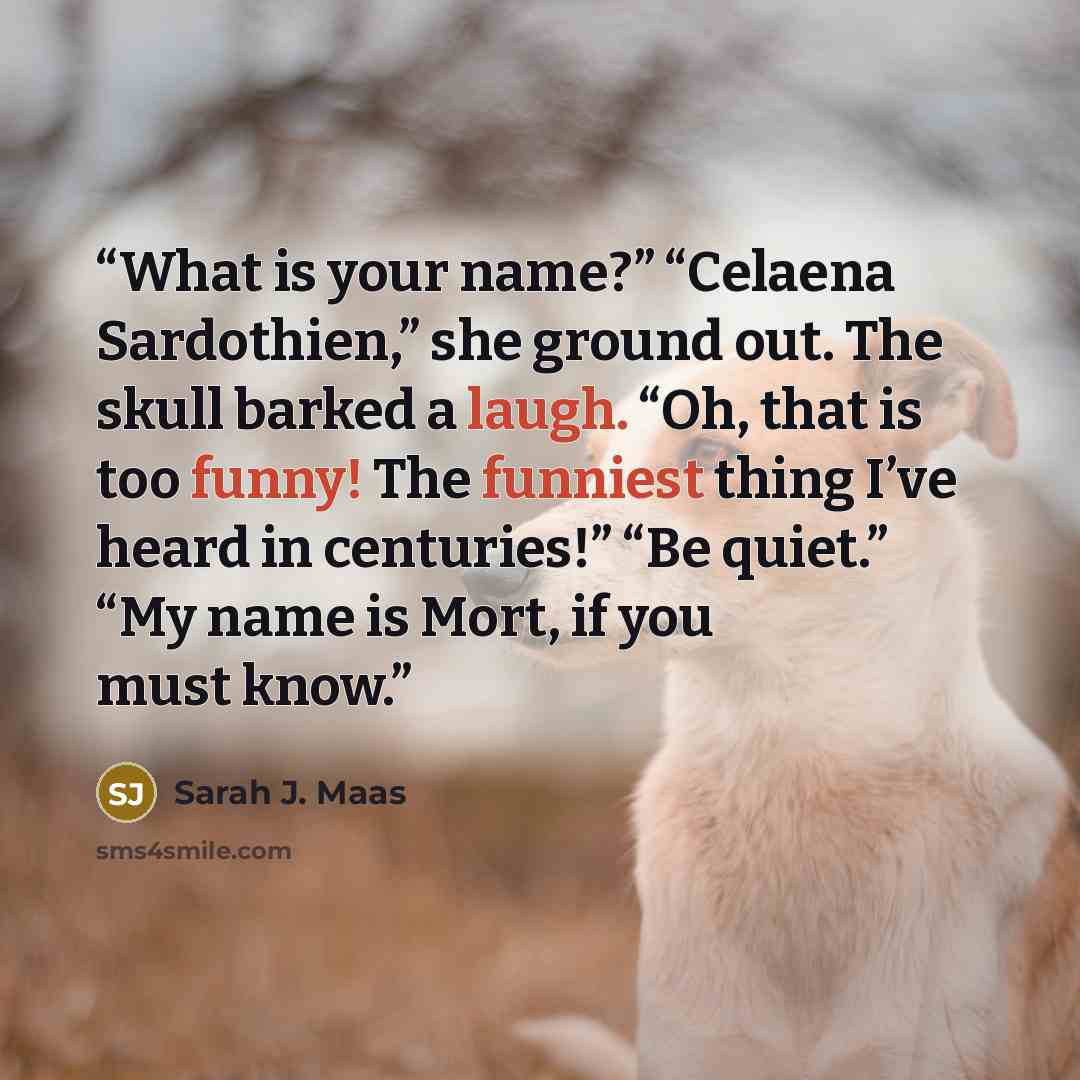 “What is your name?” “Celaena Sardothien,” she ground out. The skull barked a laugh. “Oh, that is too funny! The funniest thing I’ve heard in centuries!” “Be quiet.” “My name is Mort, if you must know.” quote by Sarah J. Maas