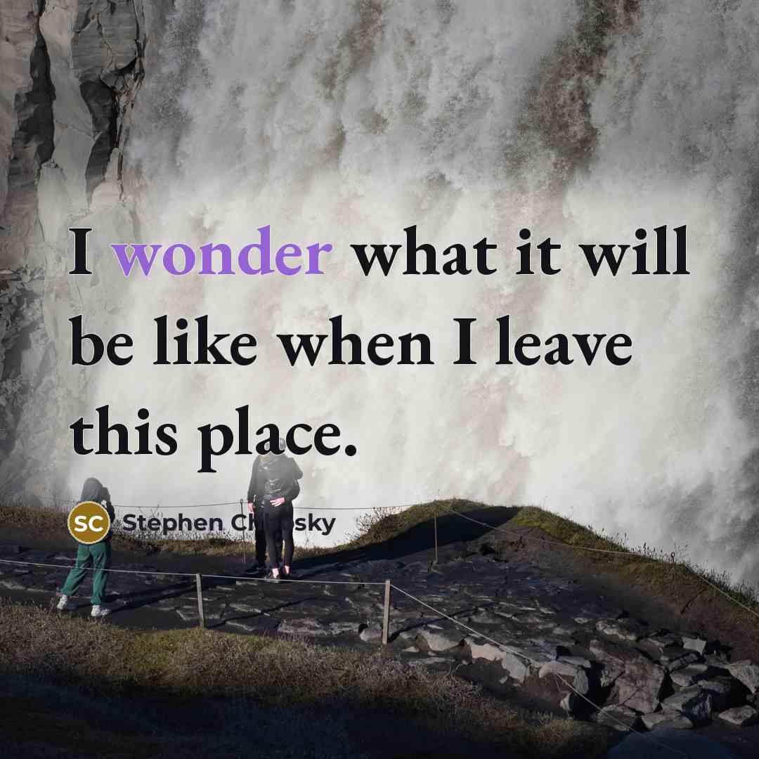 “I wonder what it will be like when I leave…” quote by Stephen Chbosky