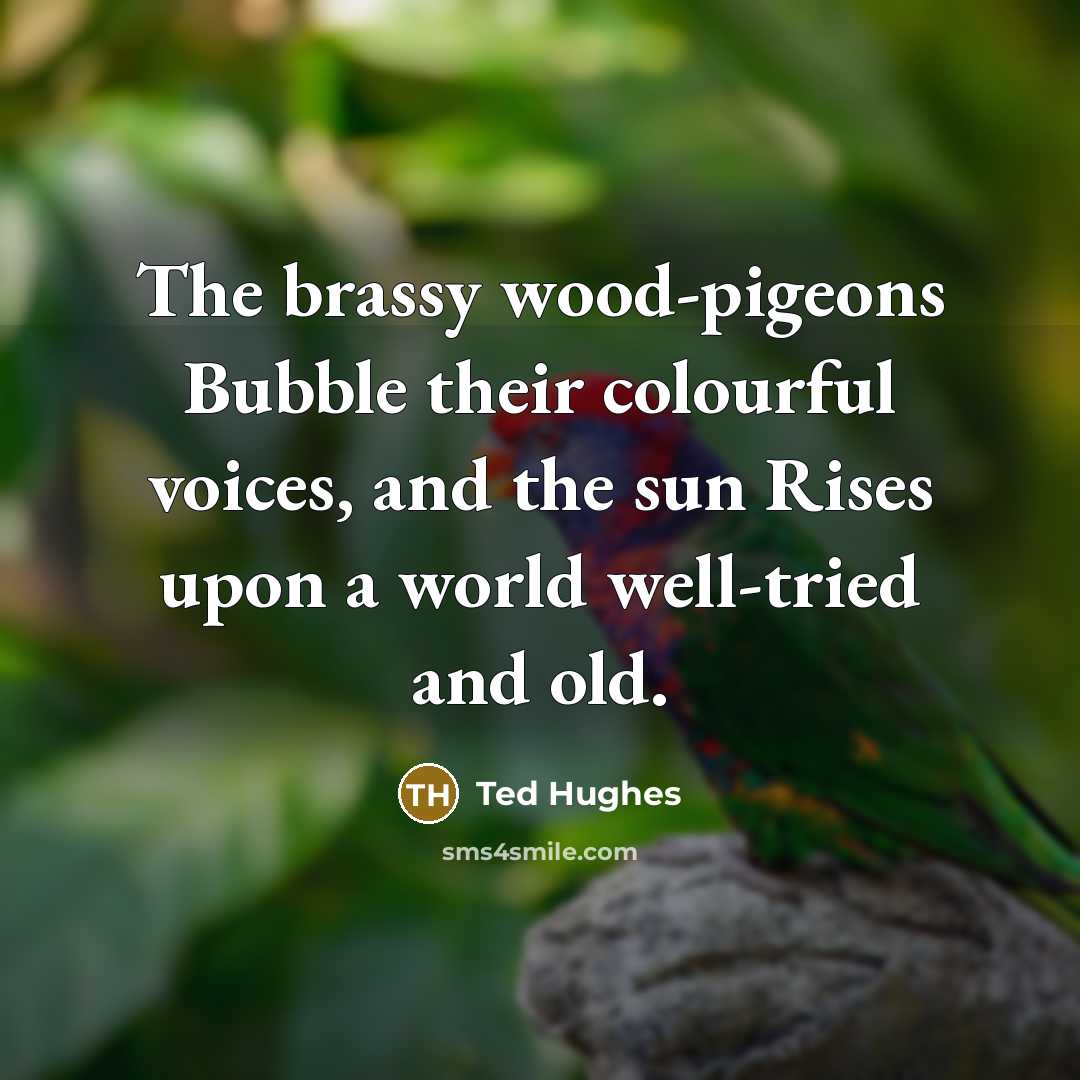 “The brassy wood-pigeons Bubble their colourful voices, and the sun Rises upon a world well-tried and old.” quote by Ted Hughes