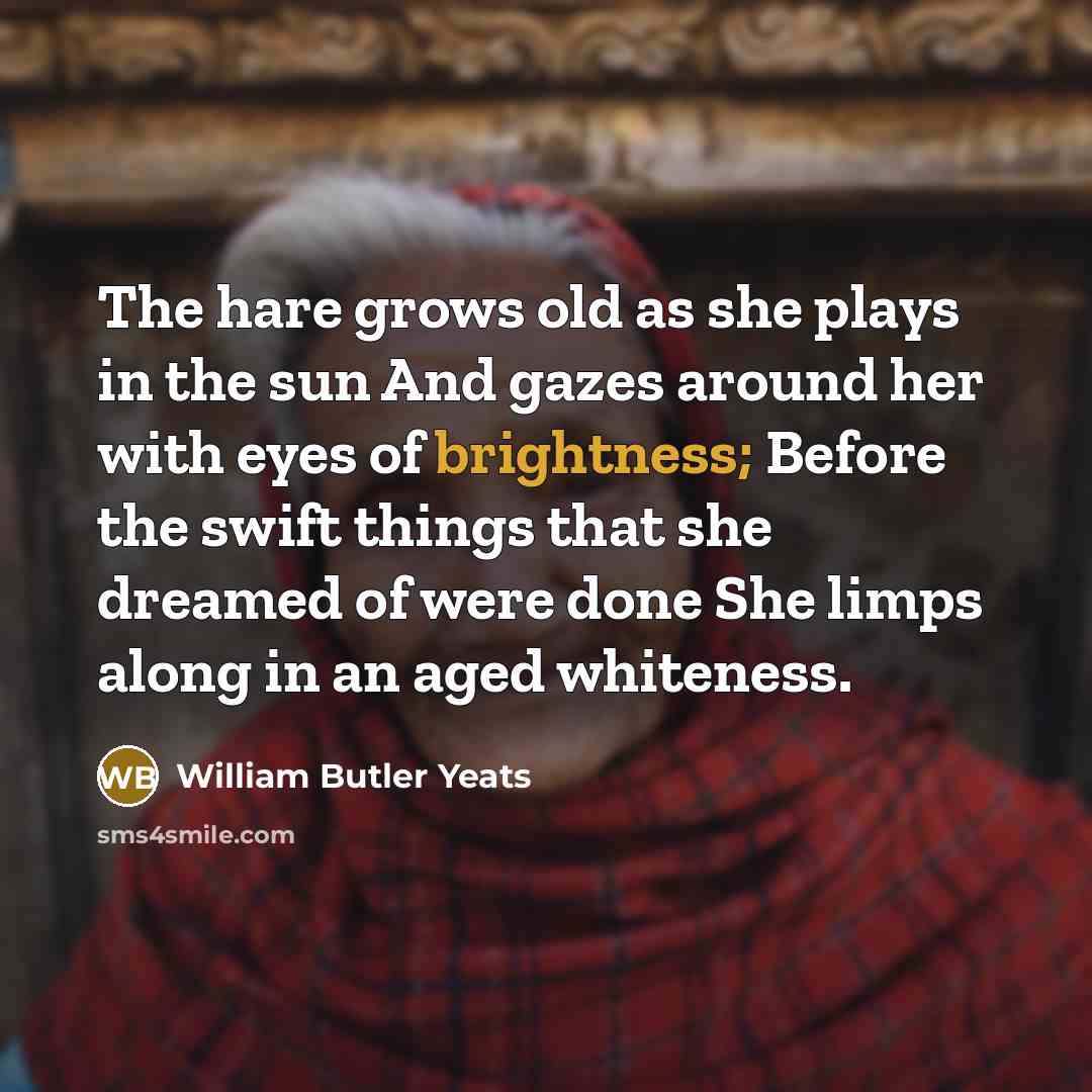 “The hare grows old as she plays in the sun…” quote by William Butler Yeats