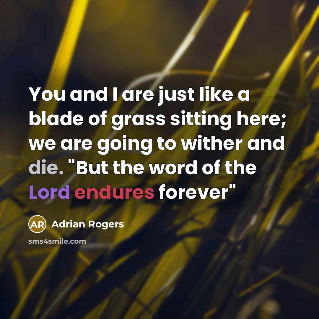 “You and I are just like a blade of grass…” quote by Adrian Rogers