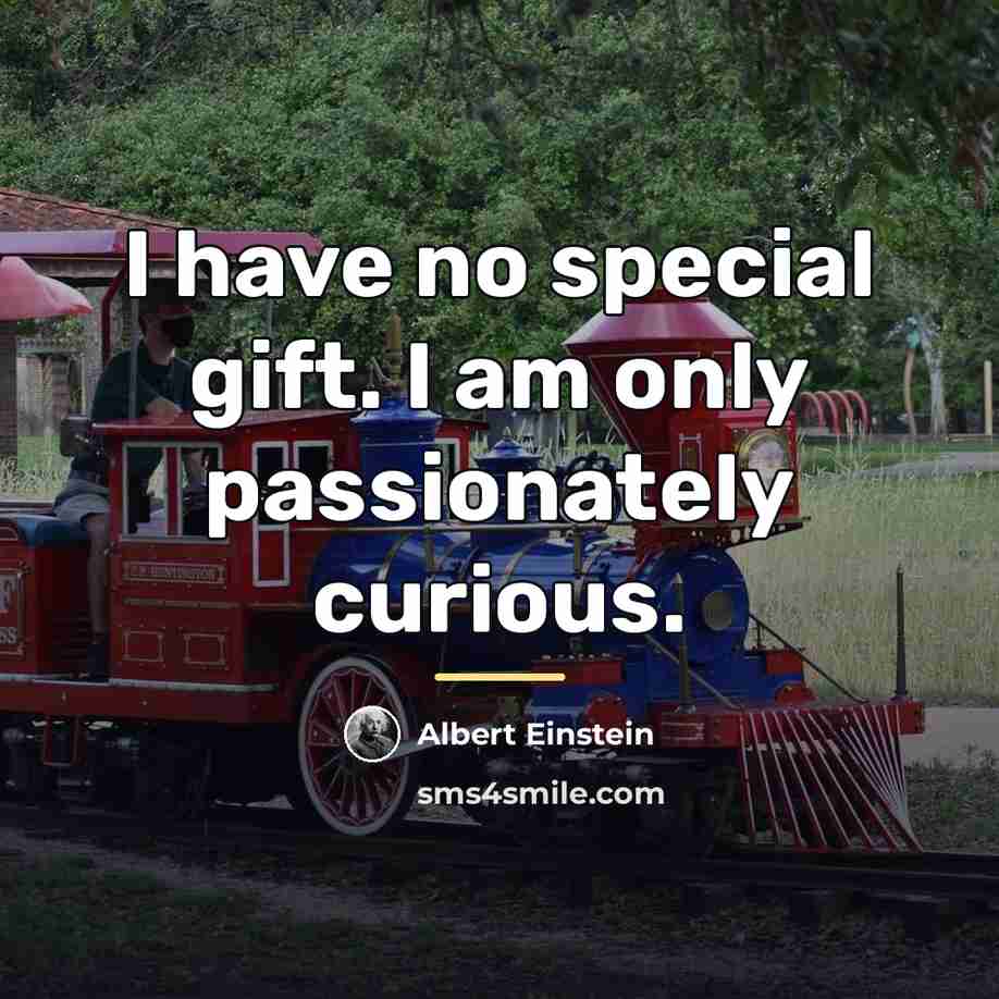 “I have no special gift. I am only passionately curious.…” quote by Albert Einstein
