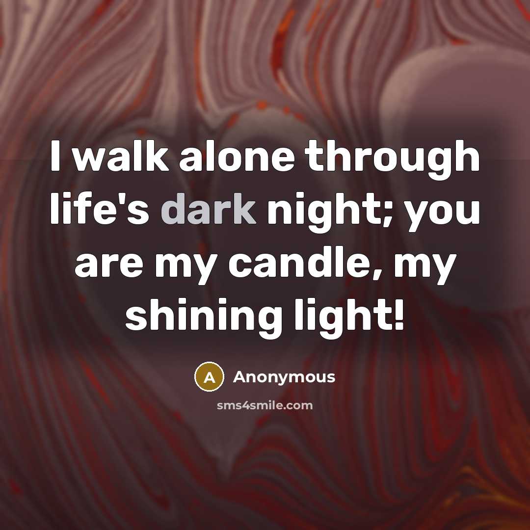 “I walk alone through life's dark night; you are my…” quote by Anonymous