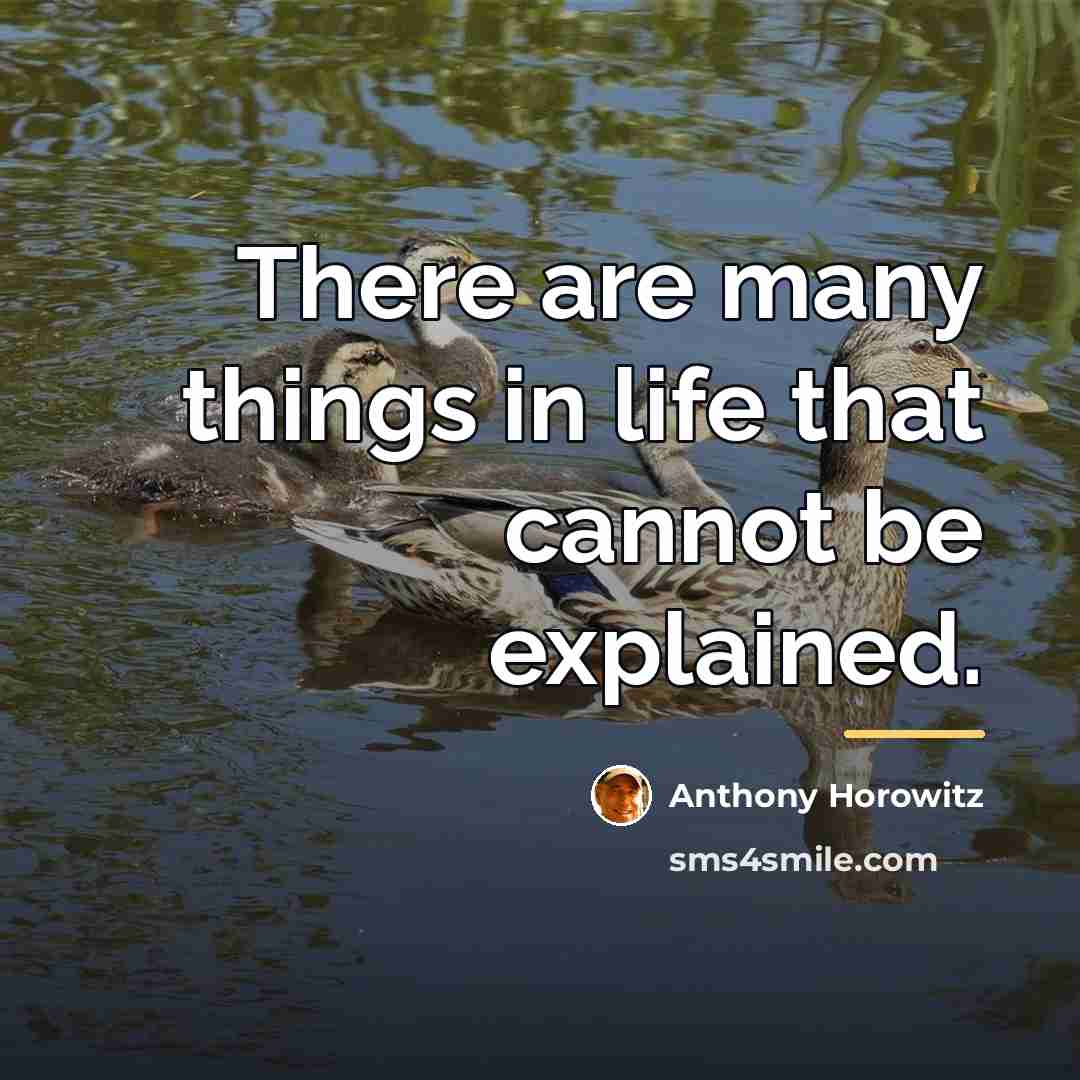 “There are many things in life that cannot be explained.…” quote by Anthony Horowitz