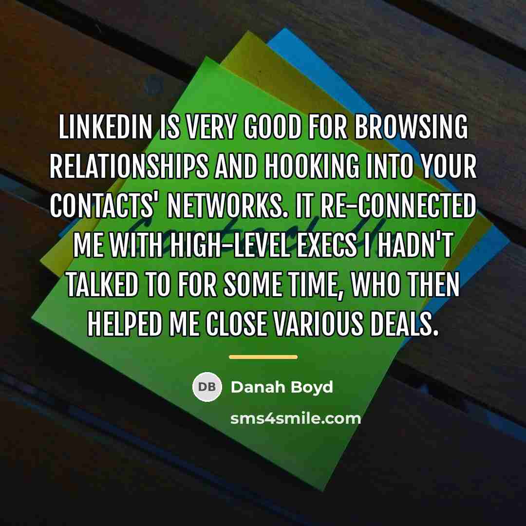 “LinkedIn is very good for browsing relationships and hooking into…” quote by danah boyd