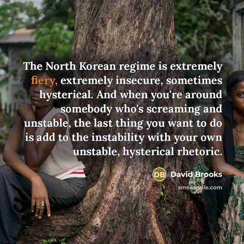 “The North Korean regime is extremely fiery, extremely insecure, sometimes…” quote by David Brooks