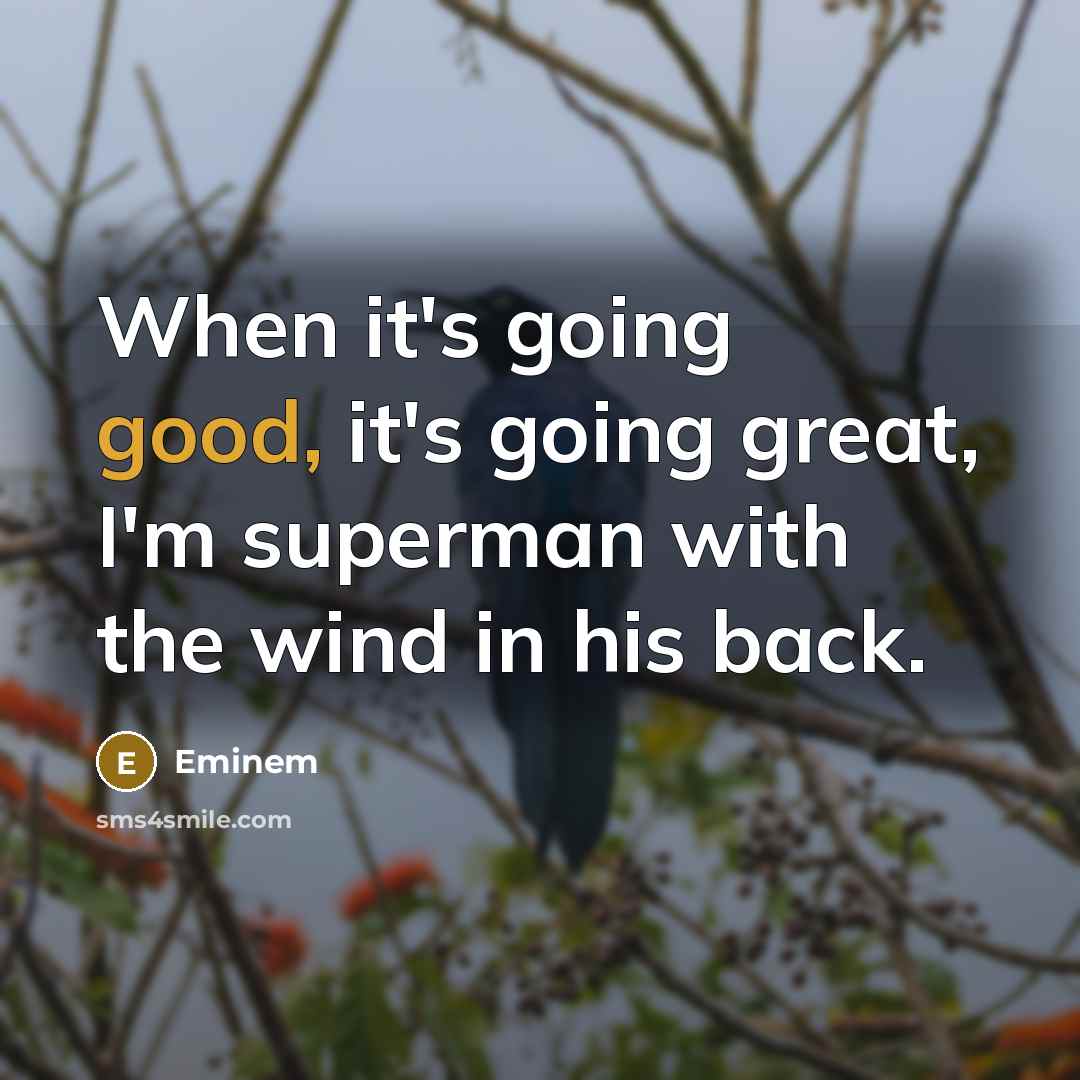 “When it's going good, it's going great, I'm superman with…” quote by Eminem