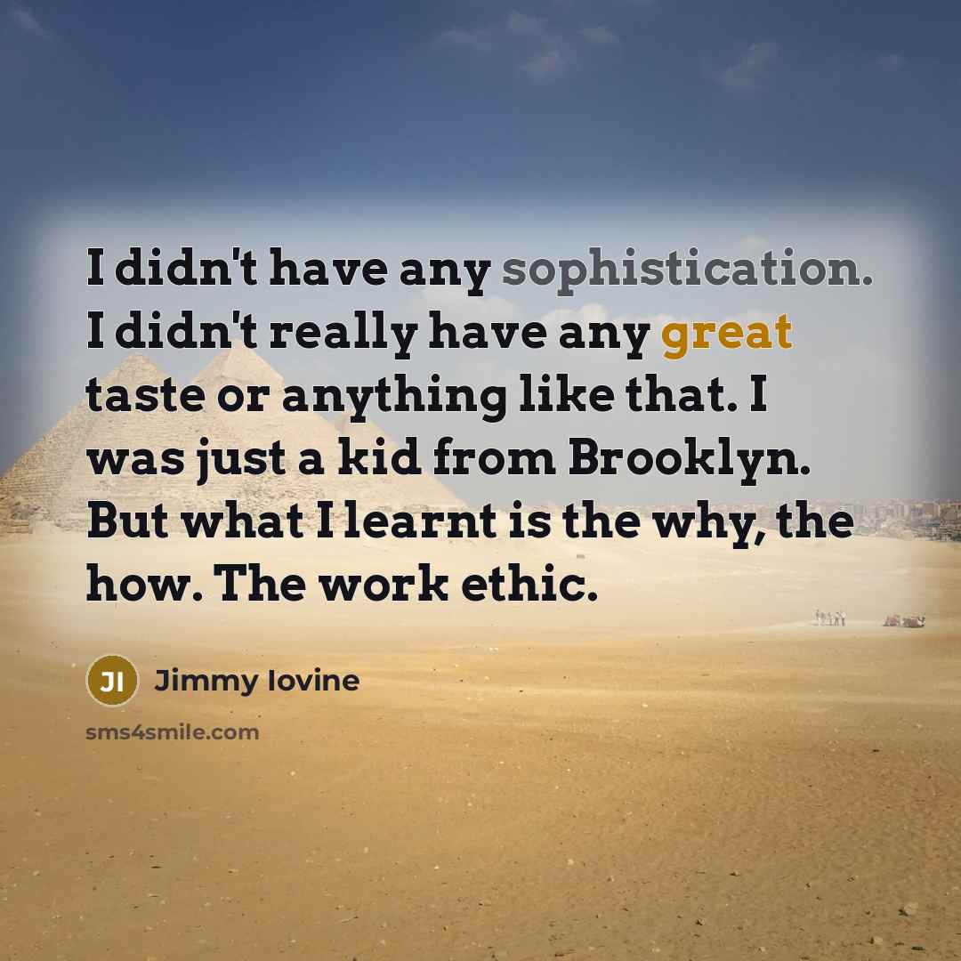 “I didn't have any sophistication. I didn't really have any…” quote by Jimmy Iovine