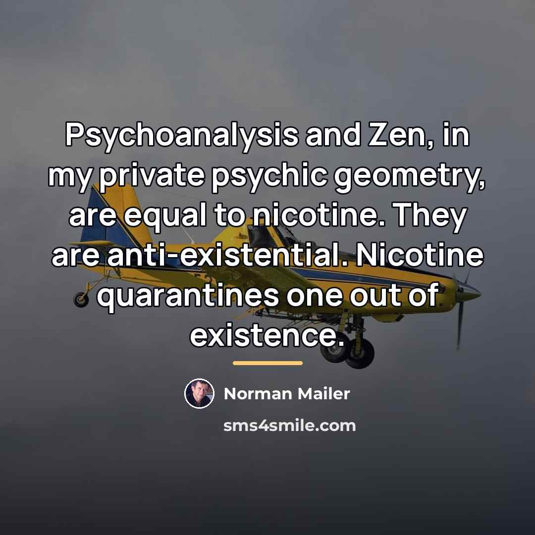 “Psychoanalysis and Zen, in my private psychic geometry, are equal…” quote by Norman Mailer