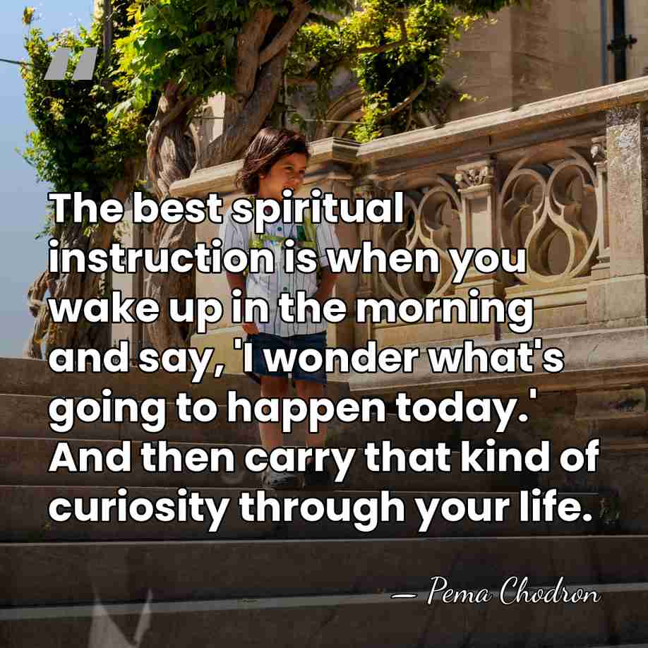The best spiritual instruction is when you wake up in the morning&hellip; - Pema Chodron