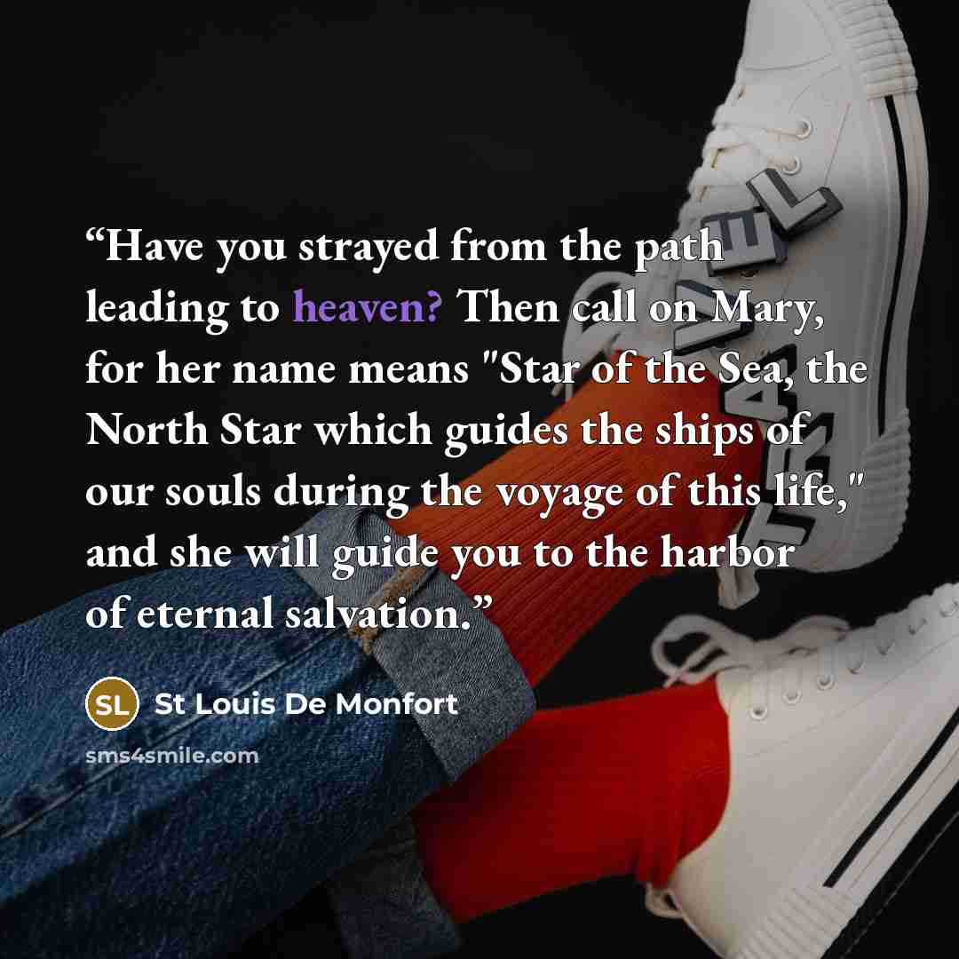 “Have you strayed from the path leading to heaven? Then call on Mary, for her name means "Star of the Sea, the North Star which guides the ships of our souls during the voyage of this life," and she will guide you to the harbor of eternal salvation.” quote by St Louis De Monfort