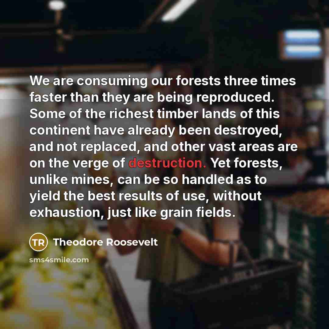 “We are consuming our forests three times faster than they…” quote by Theodore Roosevelt