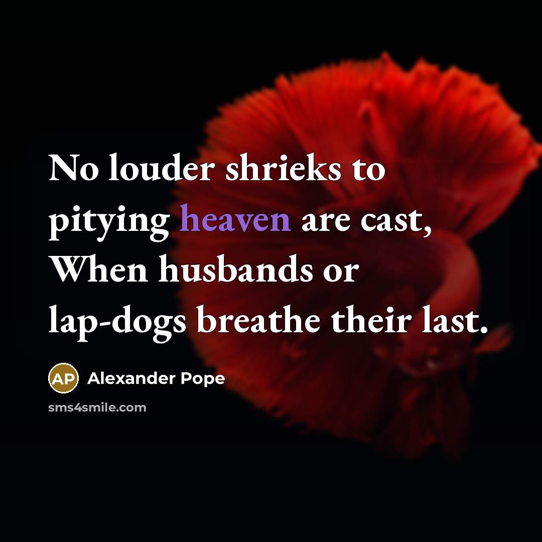 “No louder shrieks to pitying heaven are cast, When husbands…” quote by Alexander Pope