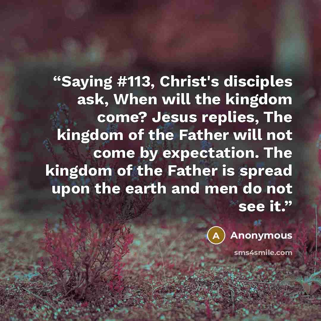 “Saying #113, Christ's disciples ask, When will the kingdom come? Jesus replies, The kingdom of the Father will not come by expectation. The kingdom of the Father is spread upon the earth and men do not see it.” quote by Anonymous