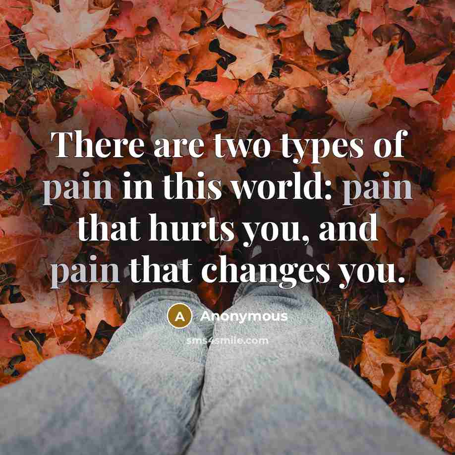 “There are two types of pain in this world: pain…” quote by Anonymous