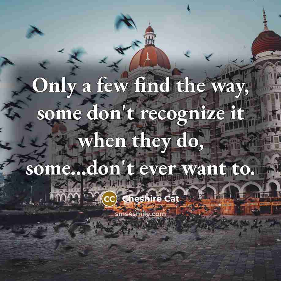 “Only a few find the way, some don't recognize it…” quote by Cheshire Cat