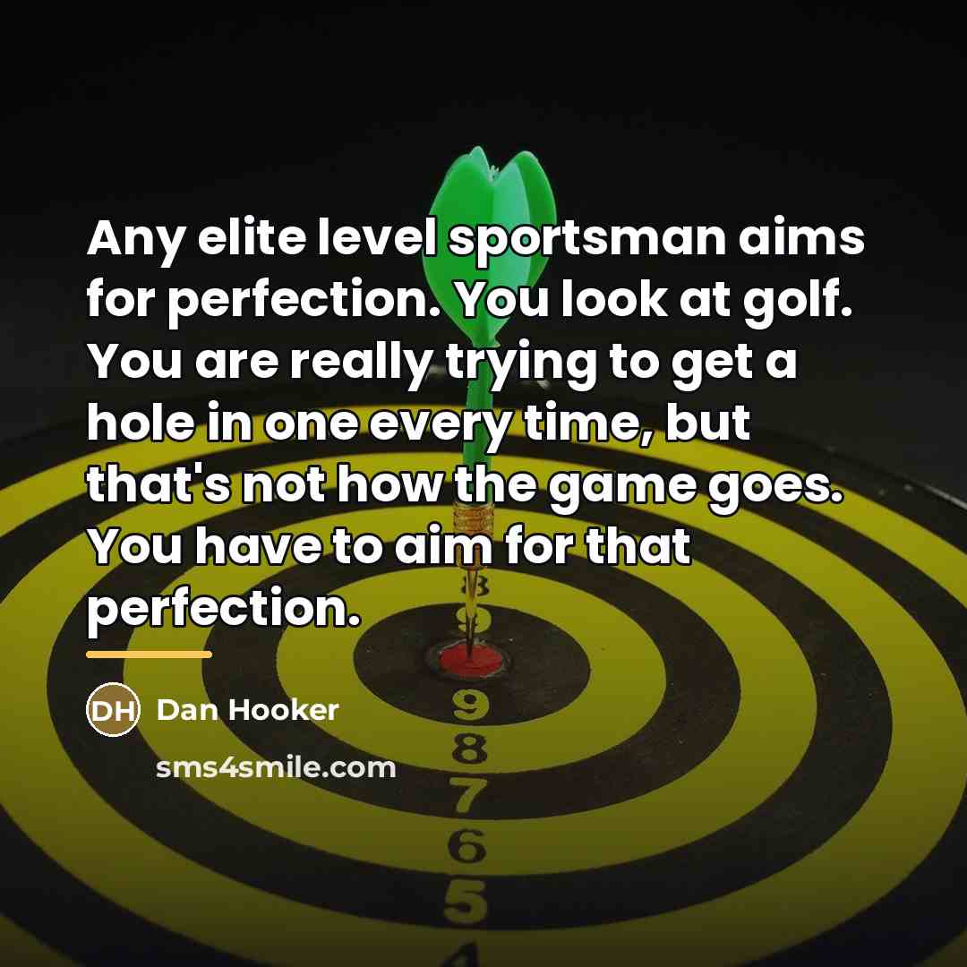 “Any elite level sportsman aims for perfection. You look at…” quote by Dan Hooker