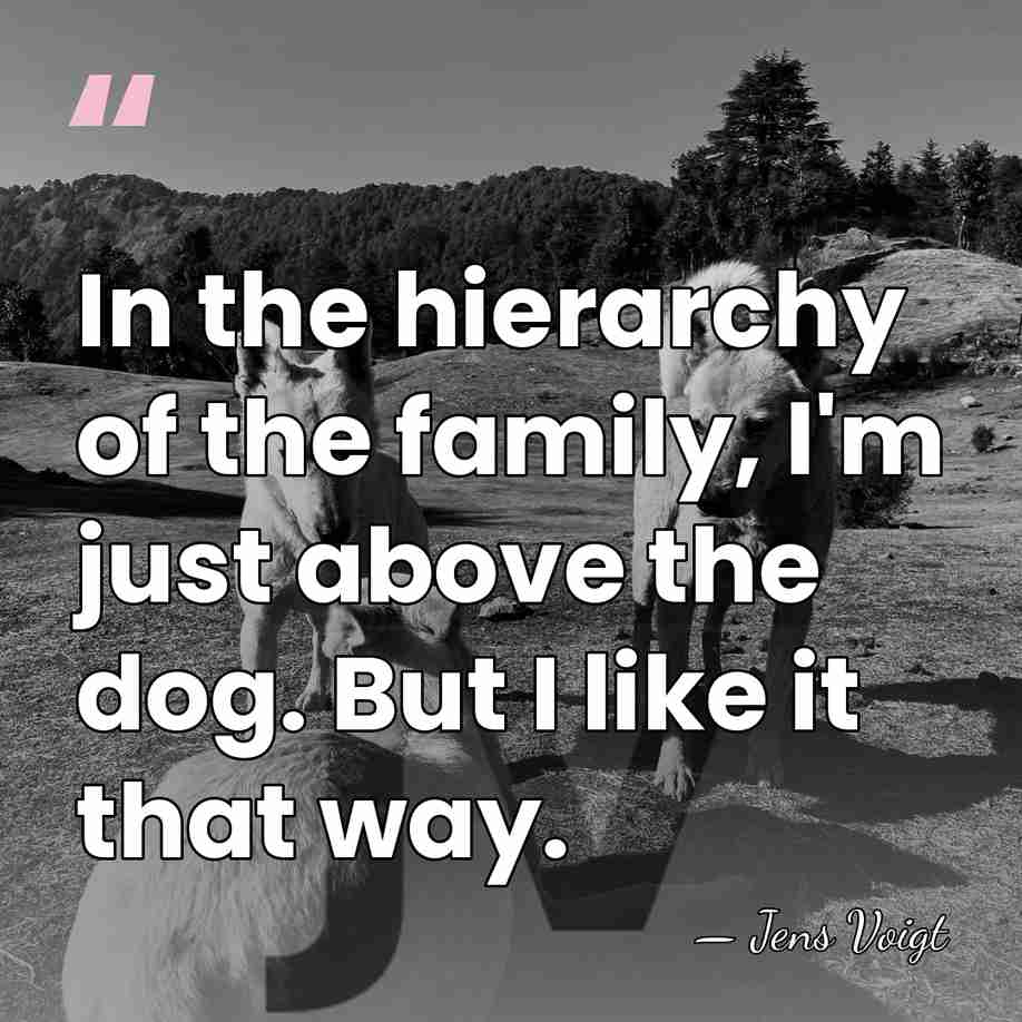 In the hierarchy of the family, I'm just above the dog. But&hellip; - Jens Voigt
