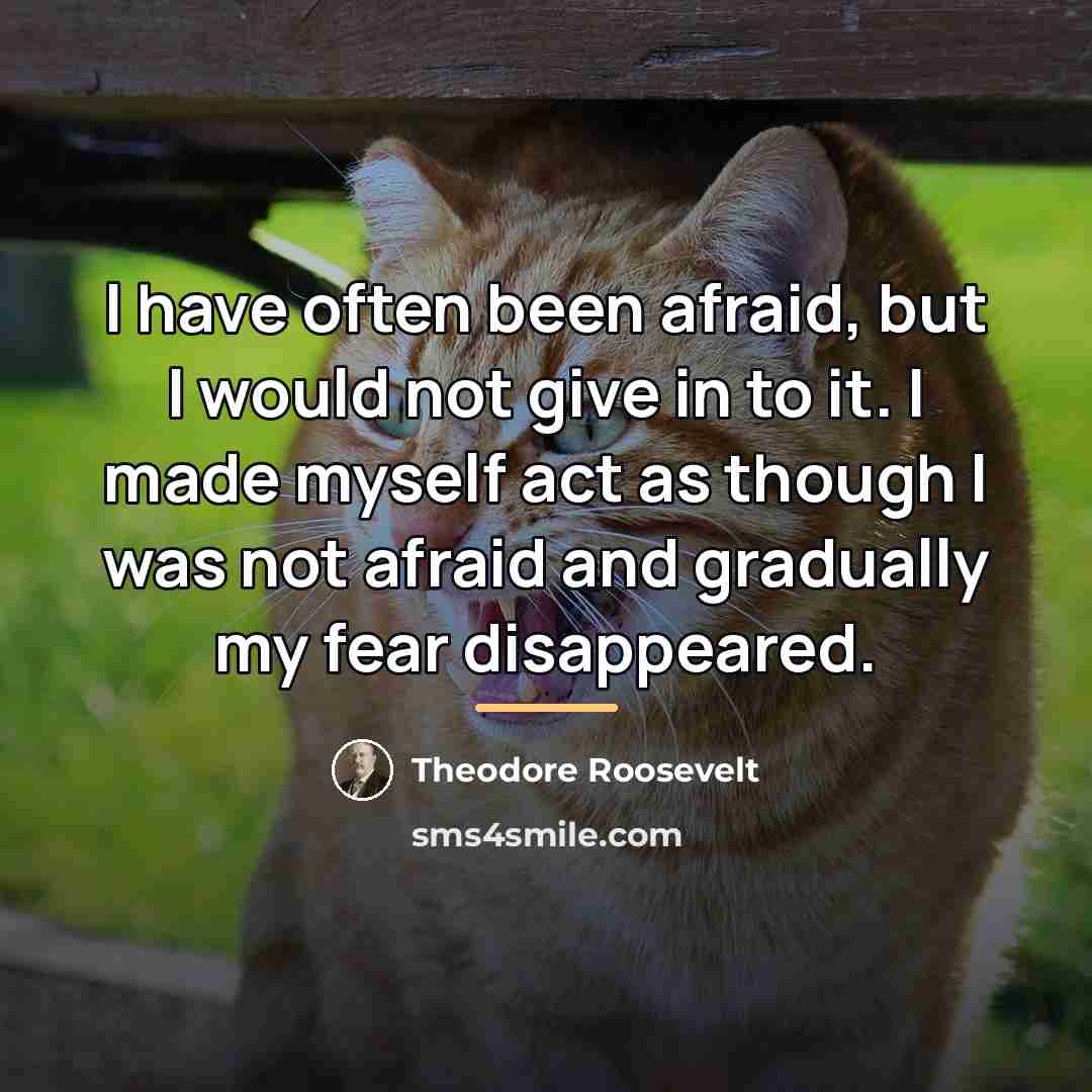 “I have often been afraid, but I would not give…” quote by Theodore Roosevelt