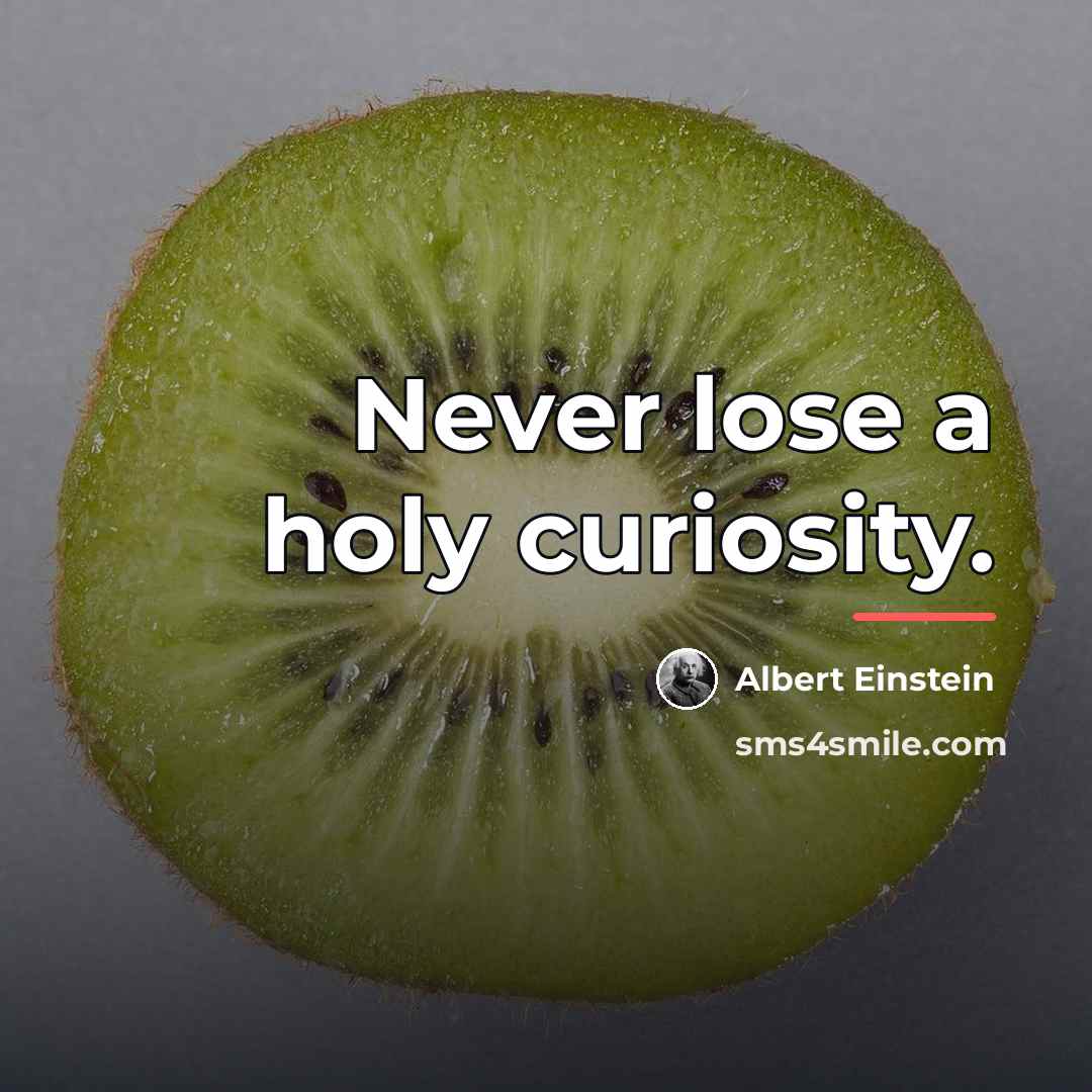 “Never lose a holy curiosity.…” quote by Albert Einstein