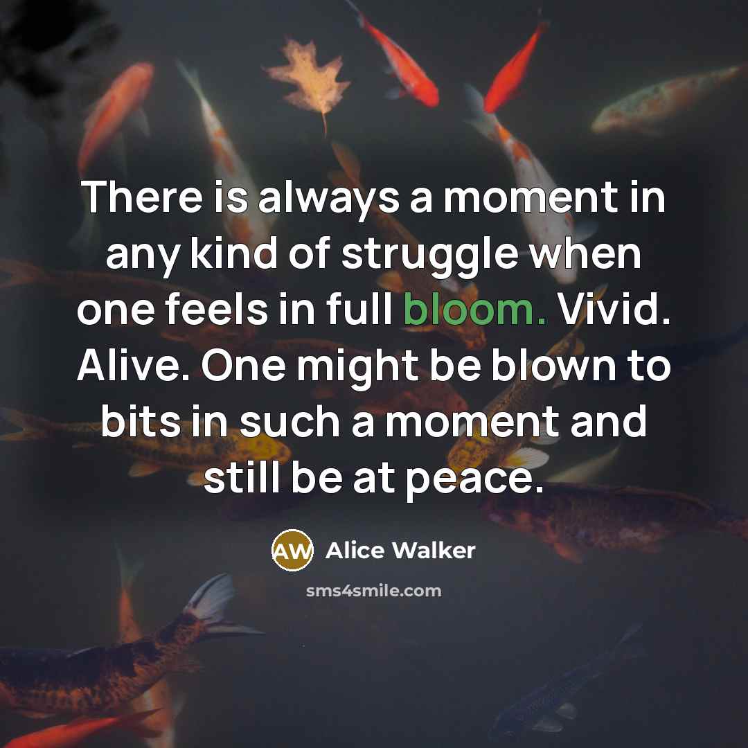 “There is always a moment in any kind of struggle…” quote by Alice Walker