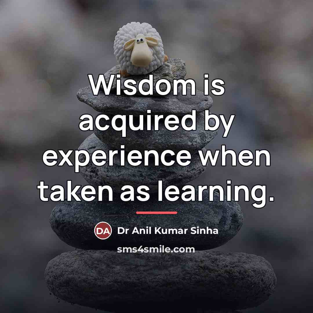 “Wisdom is acquired by experience when taken as learning.…” quote by Dr Anil Kumar Sinha
