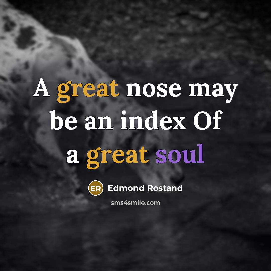“A great nose may be an index Of a great…” quote by Edmond Rostand