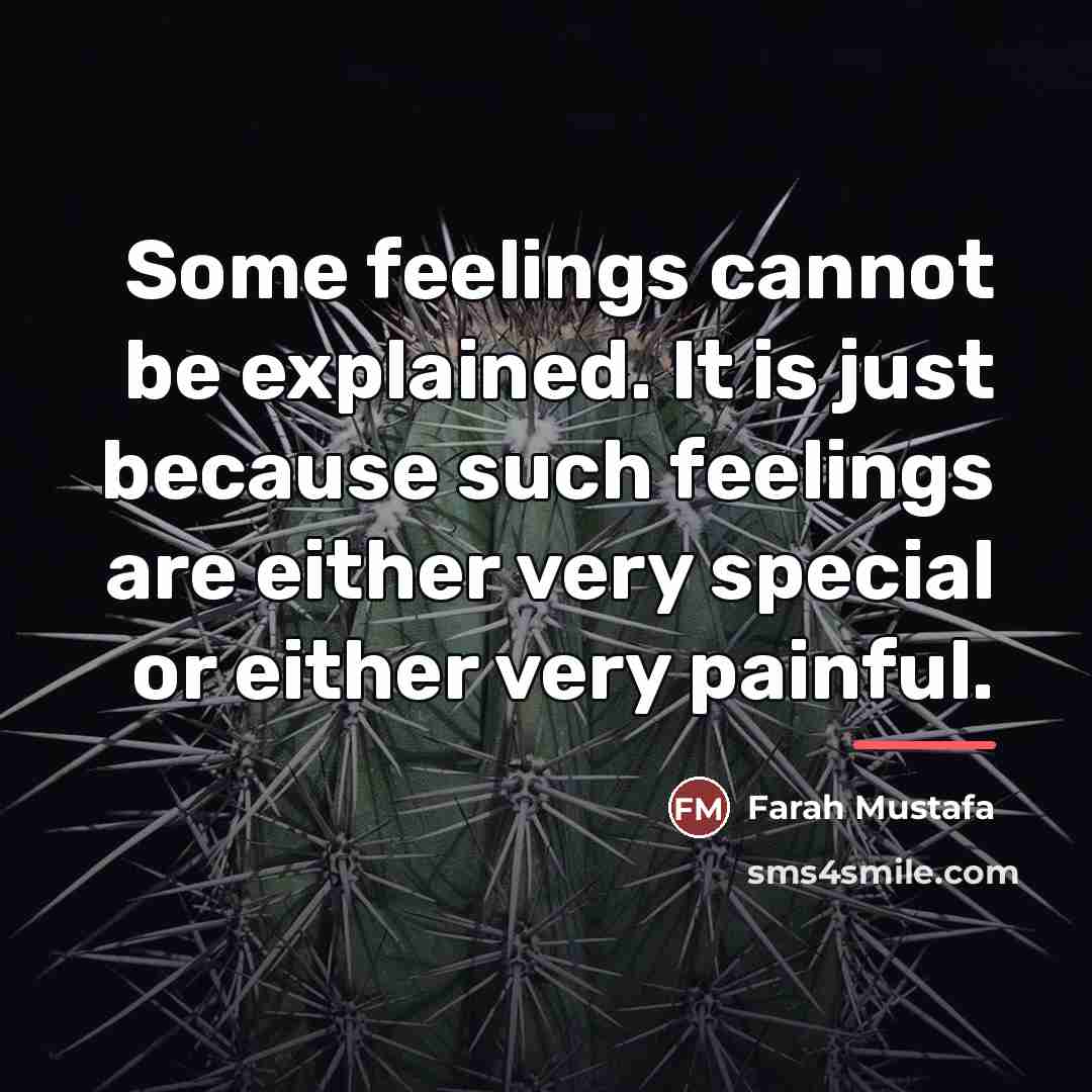 “Some feelings cannot be explained. It is just because such…” quote by Farah Mustafa