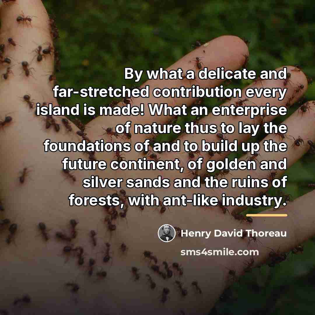 “By what a delicate and far-stretched contribution every island is…” quote by Henry David Thoreau