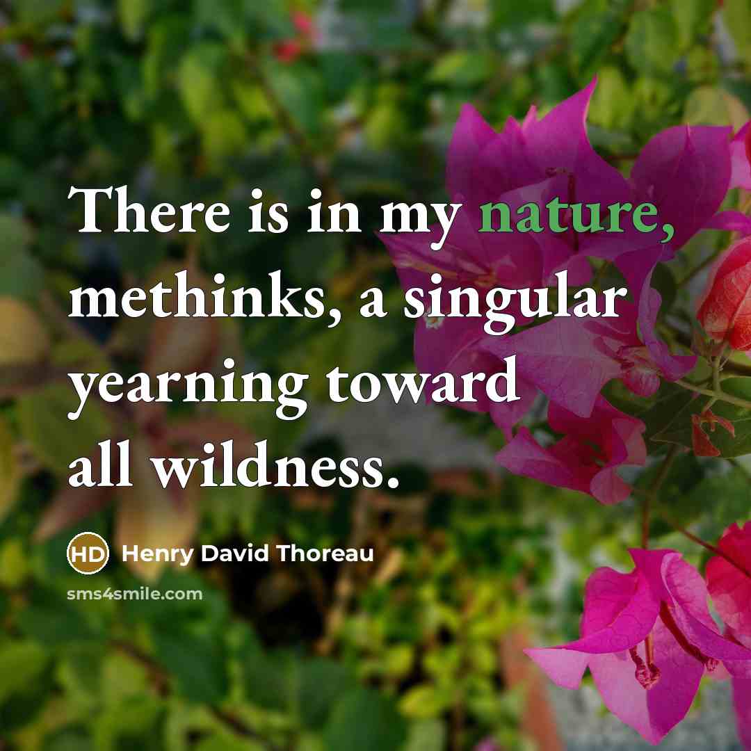 “There is in my nature, methinks, a singular yearning toward…” quote by Henry David Thoreau