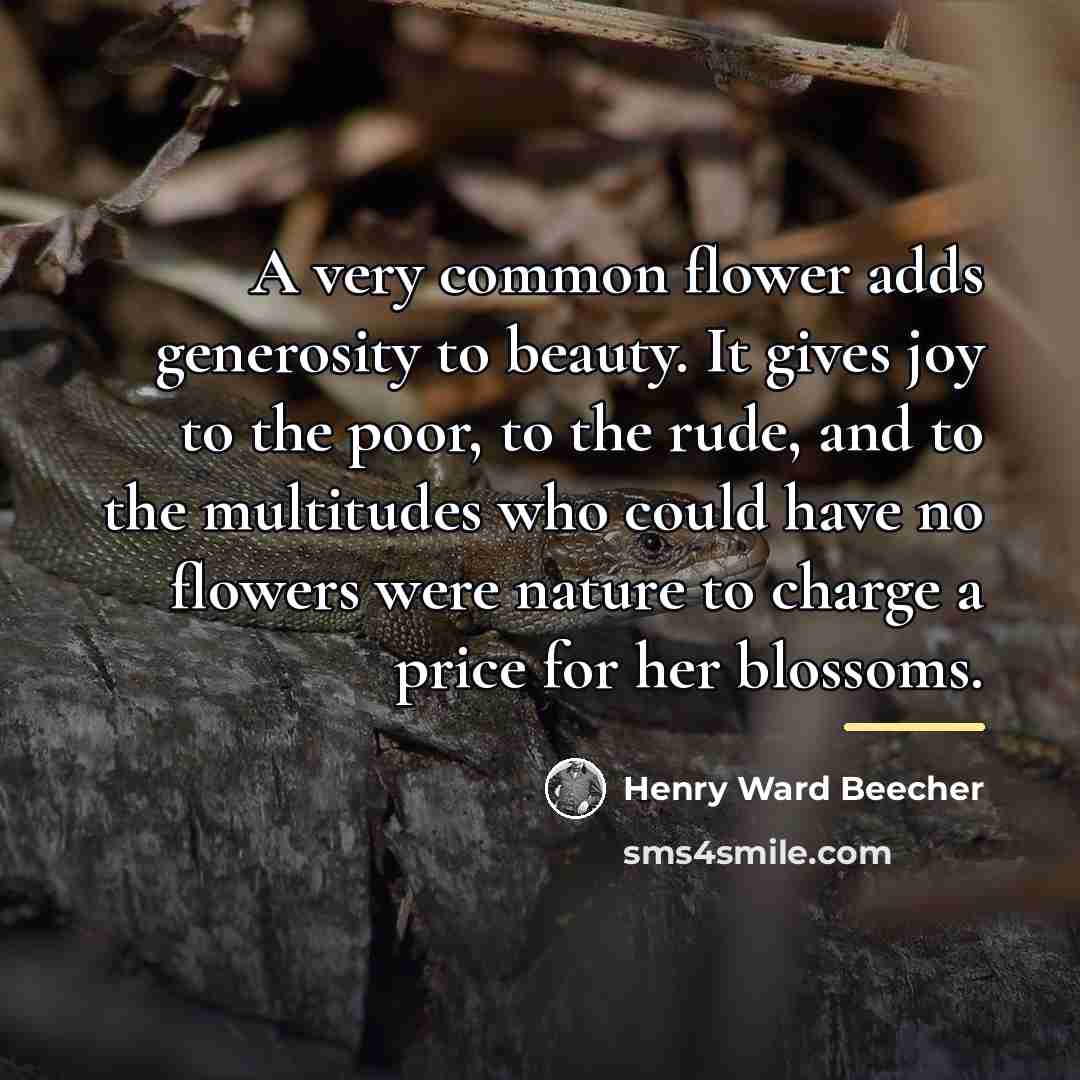 “A very common flower adds generosity to beauty. It gives…” quote by Henry Ward Beecher