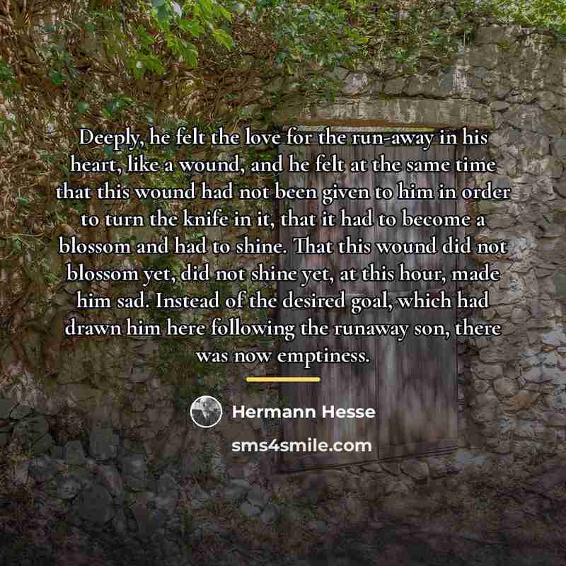 “Deeply, he felt the love for the run-away in his…” quote by Hermann Hesse