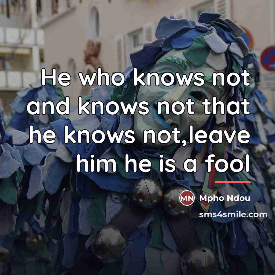 “He who knows not and knows not that he knows…” quote by Mpho Ndou
