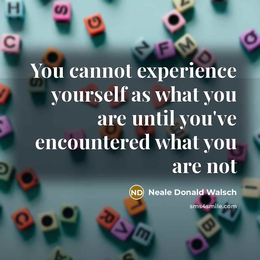 “You cannot experience yourself as what you are until you've encountered what you are not” quote by Neale Donald Walsch