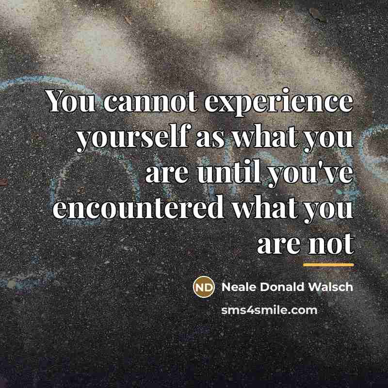 “You cannot experience yourself as what you are until you've…” quote by Neale Donald Walsch