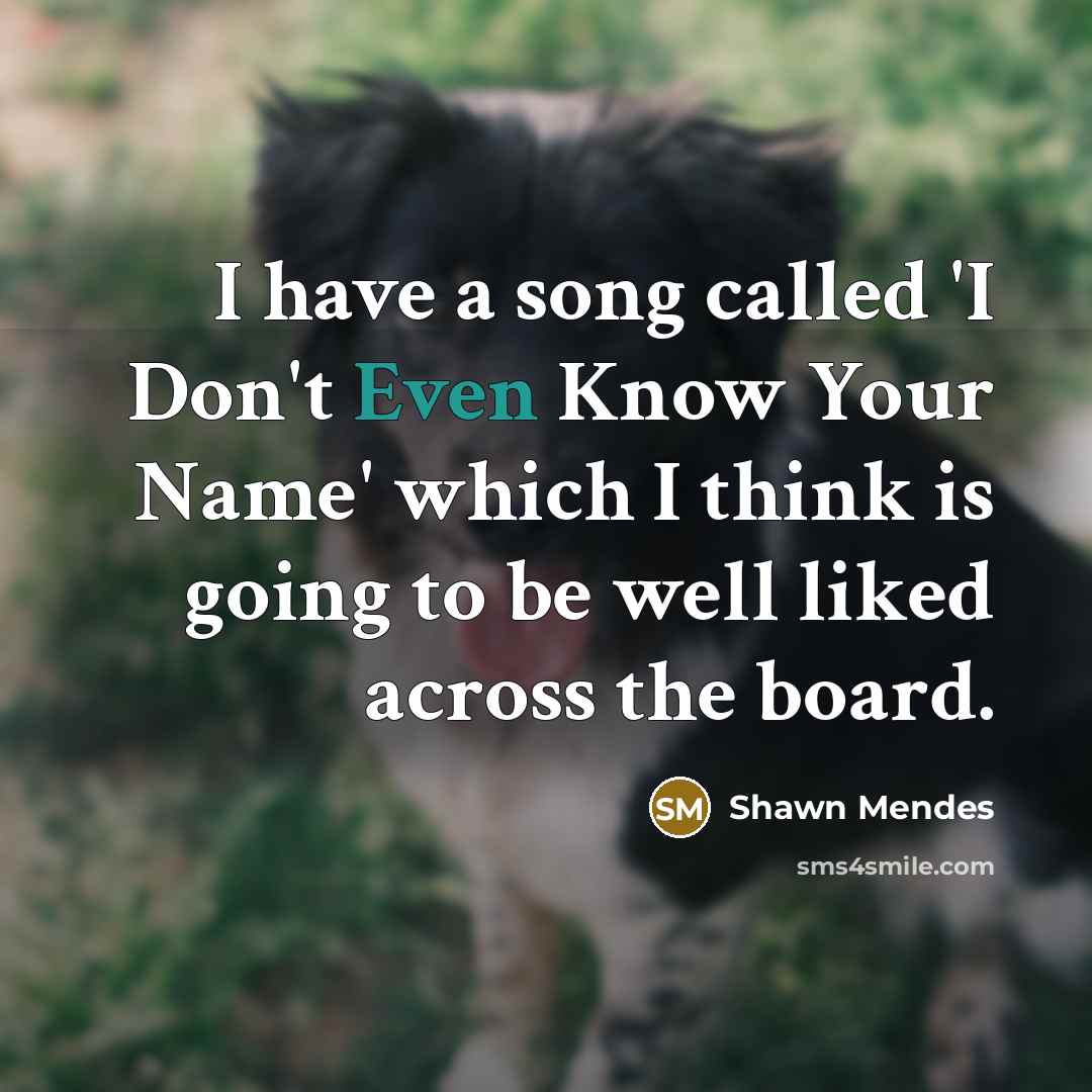 “I have a song called 'I Don't Even Know Your…” quote by Shawn Mendes