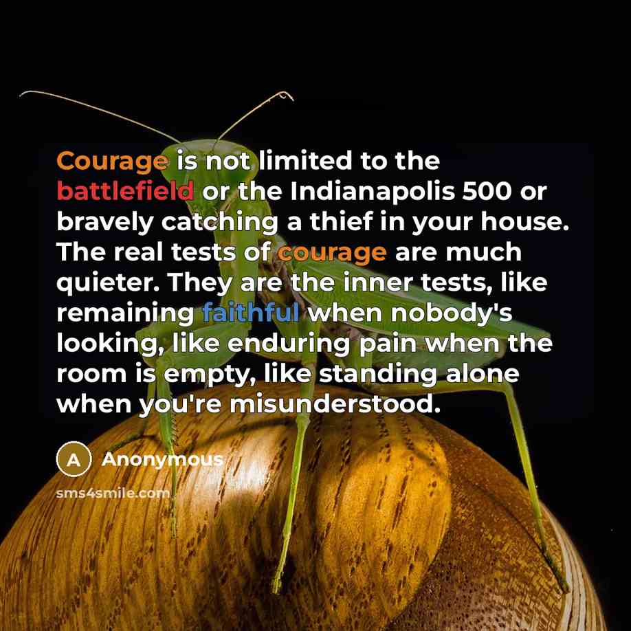 “Courage is not limited to the battlefield or the Indianapolis 500 or bravely catching a thief in your house. The real tests of courage are much quieter. They are the inner tests, like remaining faithful when nobody's looking, like enduring pain when the room is empty, like standing alone when…” quote by Anonymous