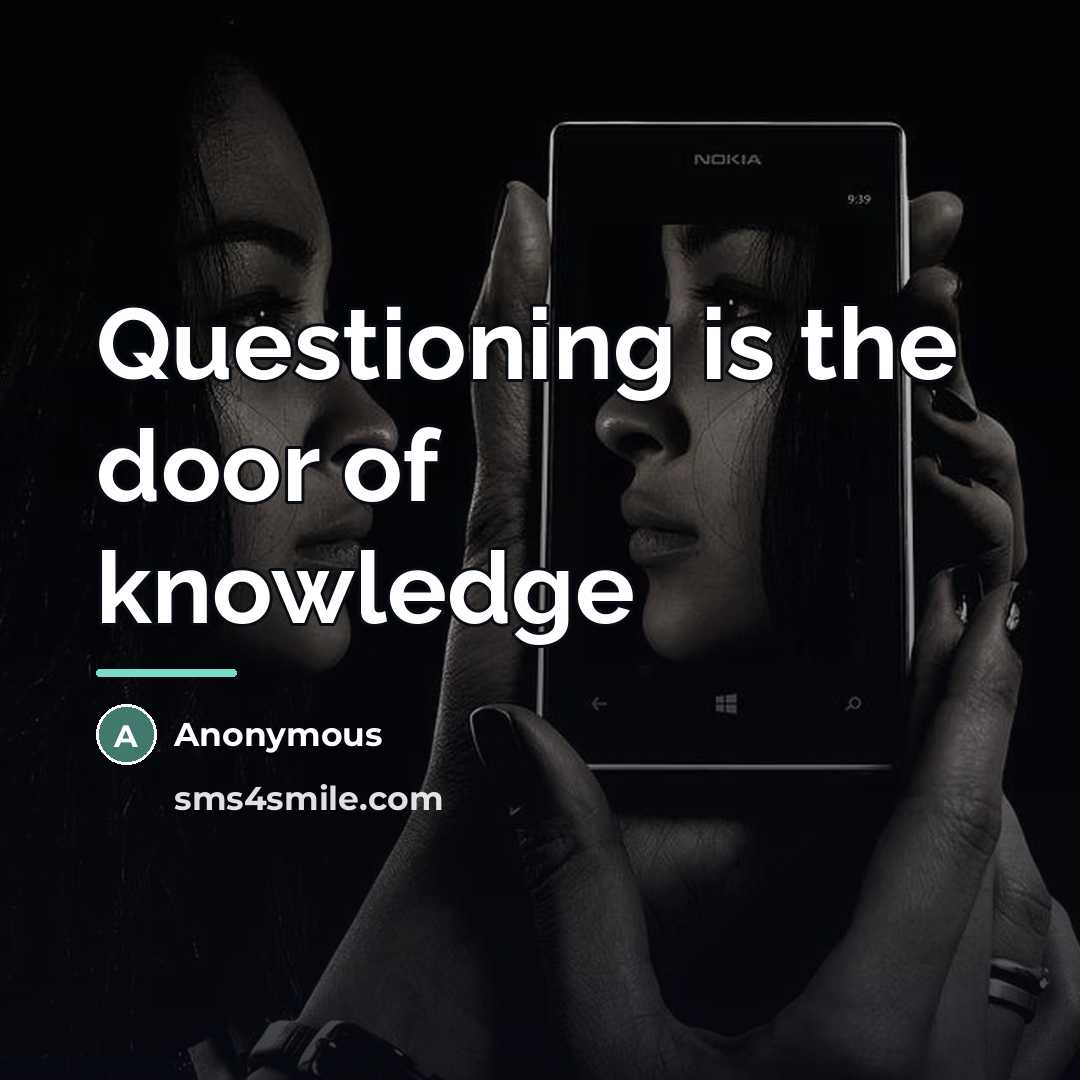 “Questioning is the door of knowledge…” quote by Anonymous