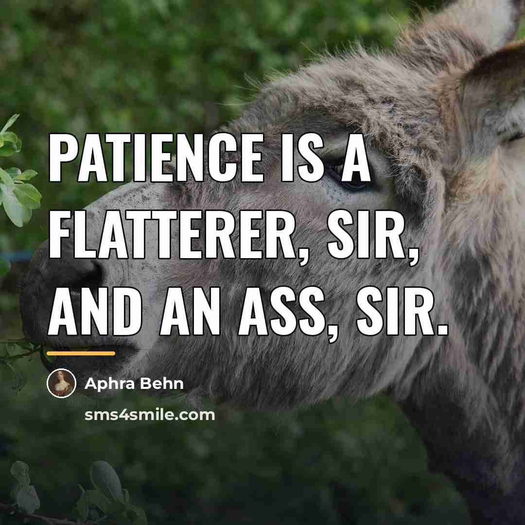 “Patience is a flatterer, sir, and an ass, sir.…” quote by Aphra Behn