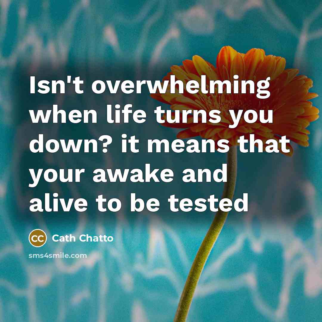 “Isn't overwhelming when life turns you down? it means that…” quote by Cath Chatto