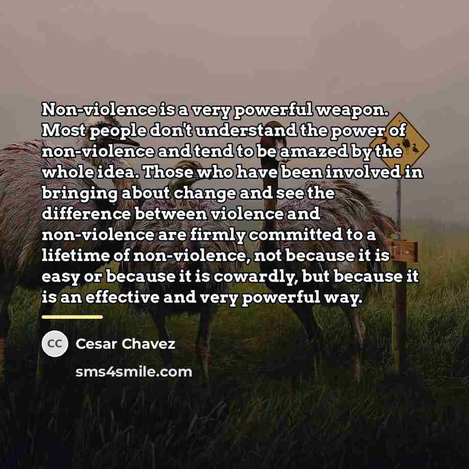 “Non-violence is a very powerful weapon. Most people don't understand…” quote by Cesar Chavez