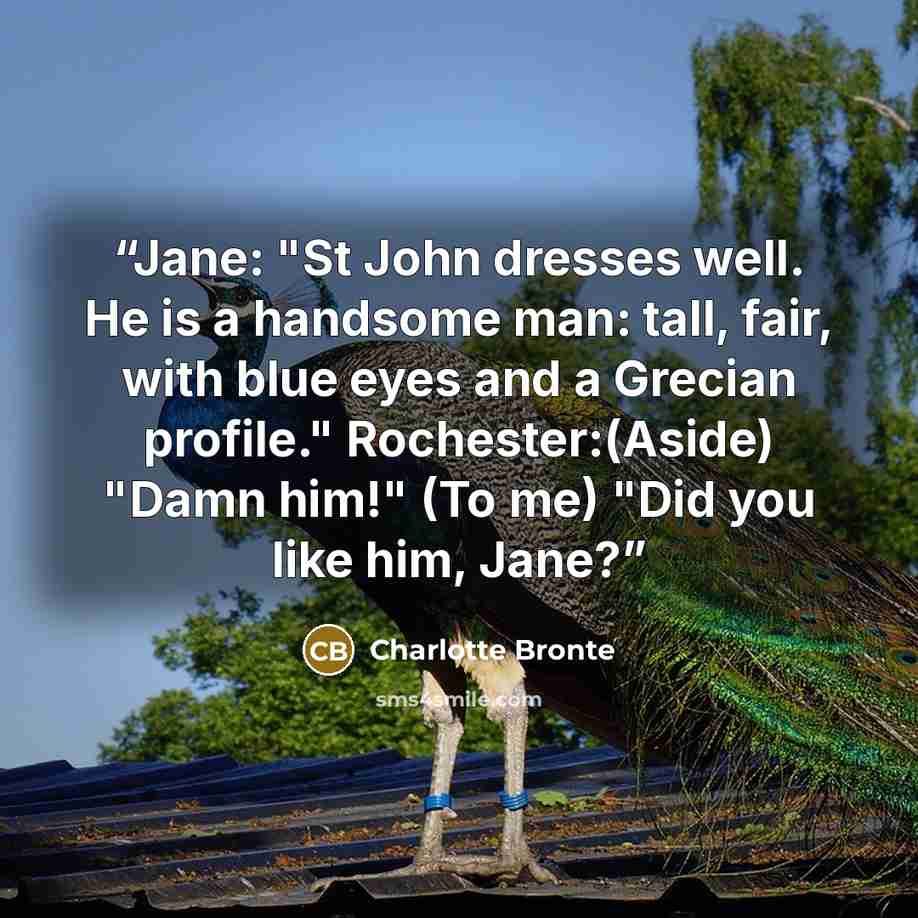 “Jane: "St John dresses well. He is a handsome man: tall, fair, with blue eyes and a Grecian profile." Rochester:(Aside) "Damn him!" (To me) "Did you like him, Jane?” quote by Charlotte Brontë