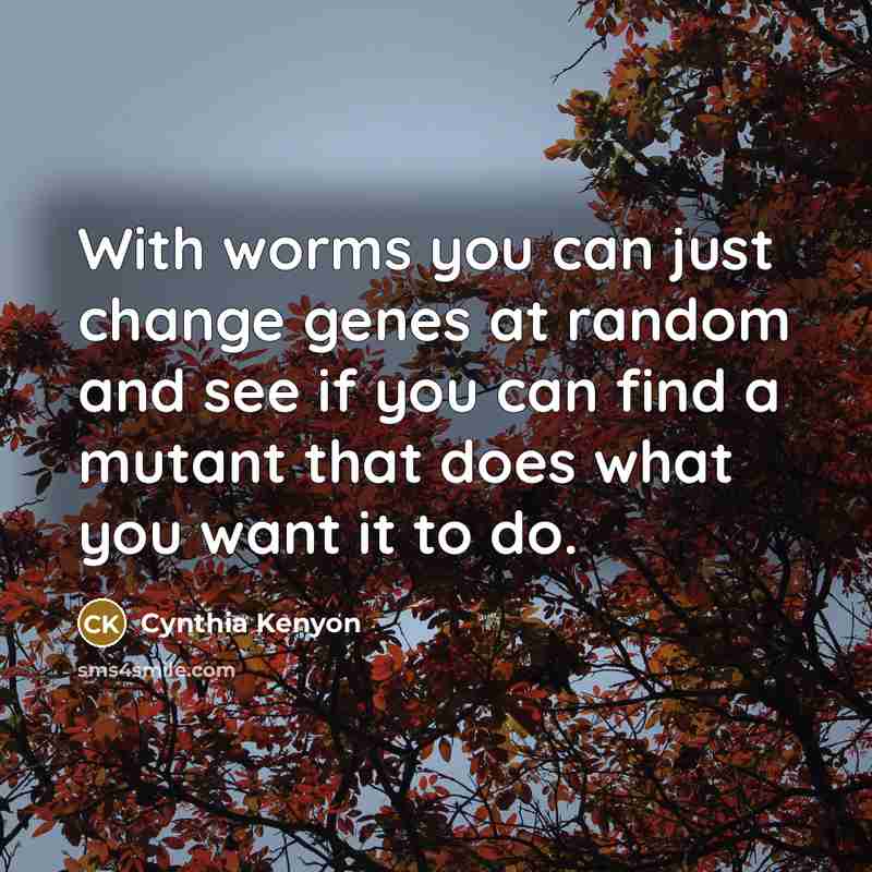 “With worms you can just change genes at random and…” quote by Cynthia Kenyon
