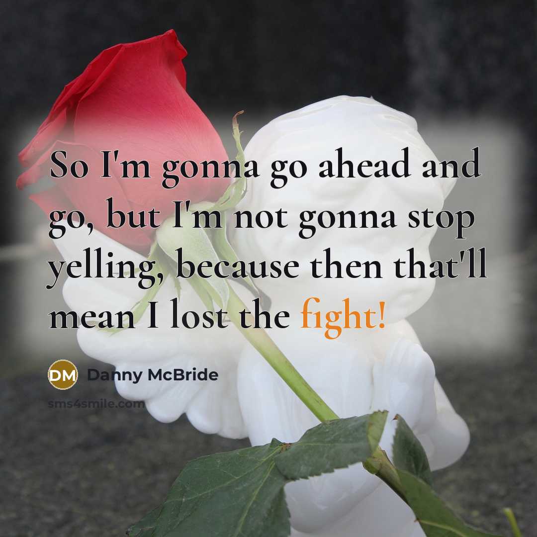 “So I'm gonna go ahead and go, but I'm not gonna stop yelling, because then that'll mean I lost the fight!” quote by Danny Mcbride