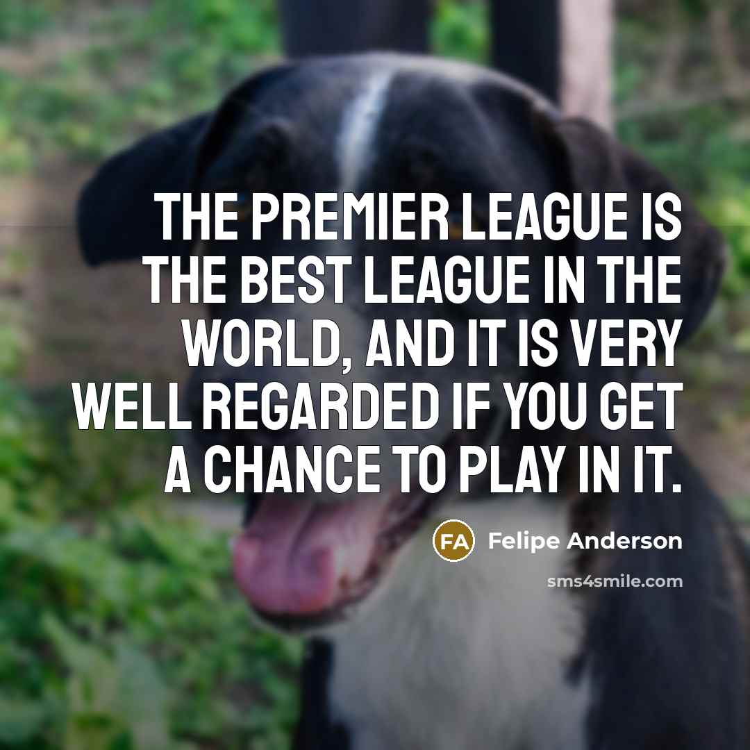 “The Premier League is the best league in the world,…” quote by Felipe Anderson