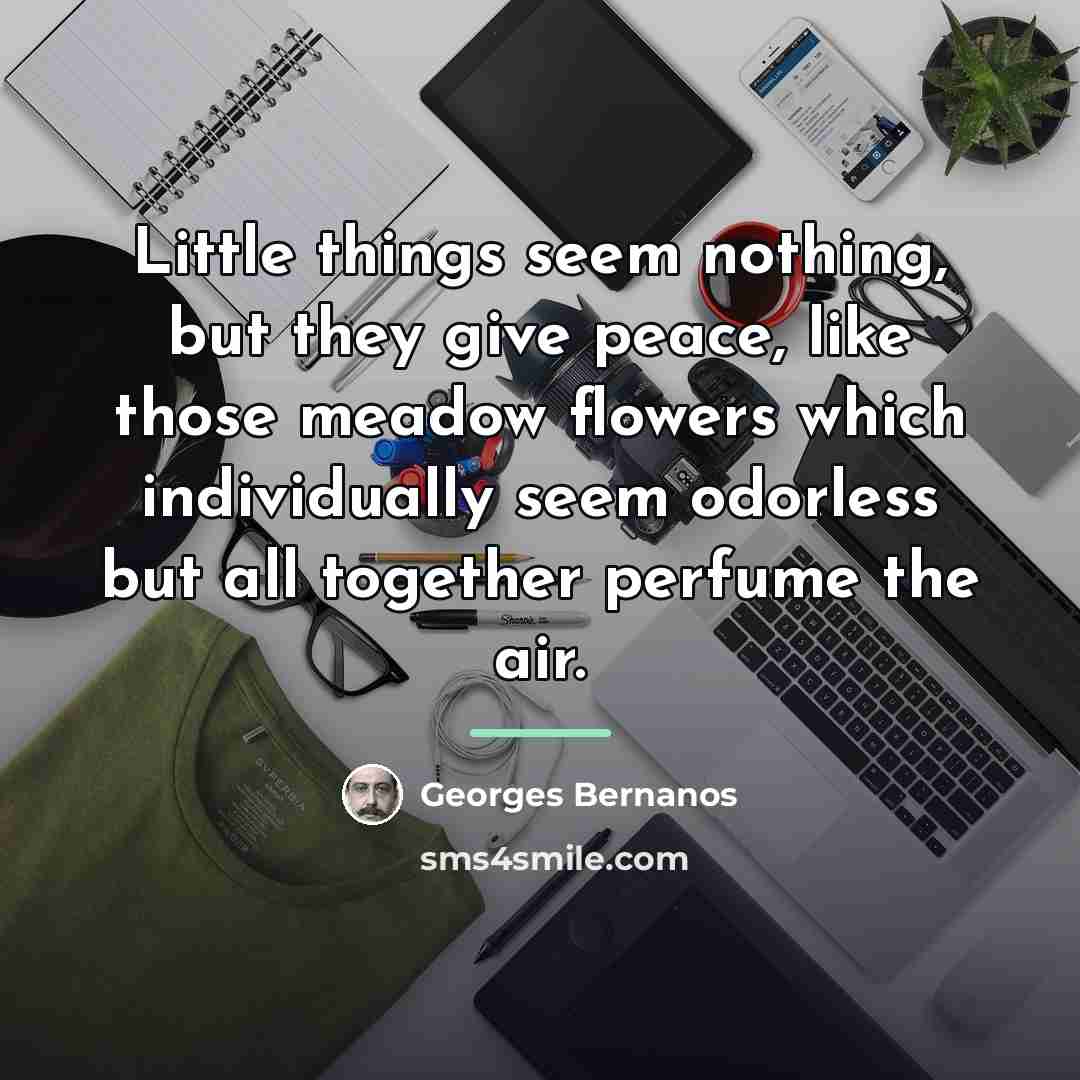 “Little things seem nothing, but they give peace, like those…” quote by Georges Bernanos