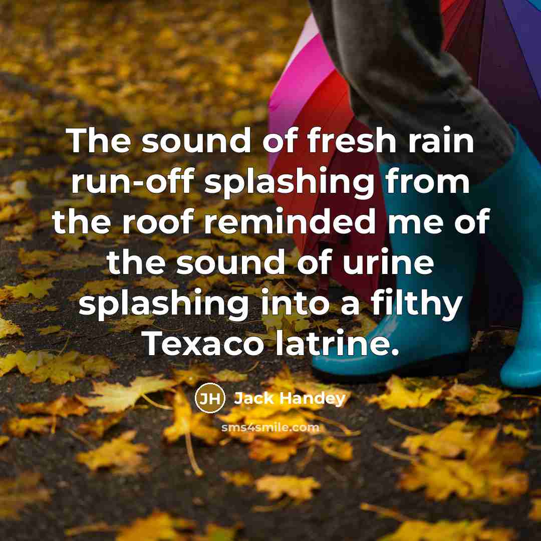 “The sound of fresh rain run-off splashing from the roof…” quote by Jack Handey