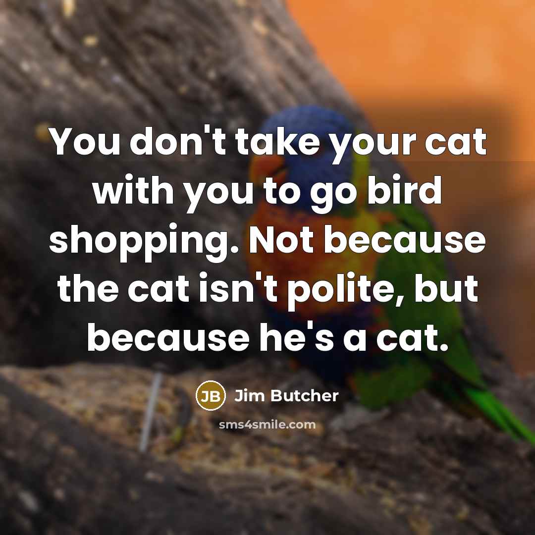 “You don't take your cat with you to go bird…” quote by Jim Butcher