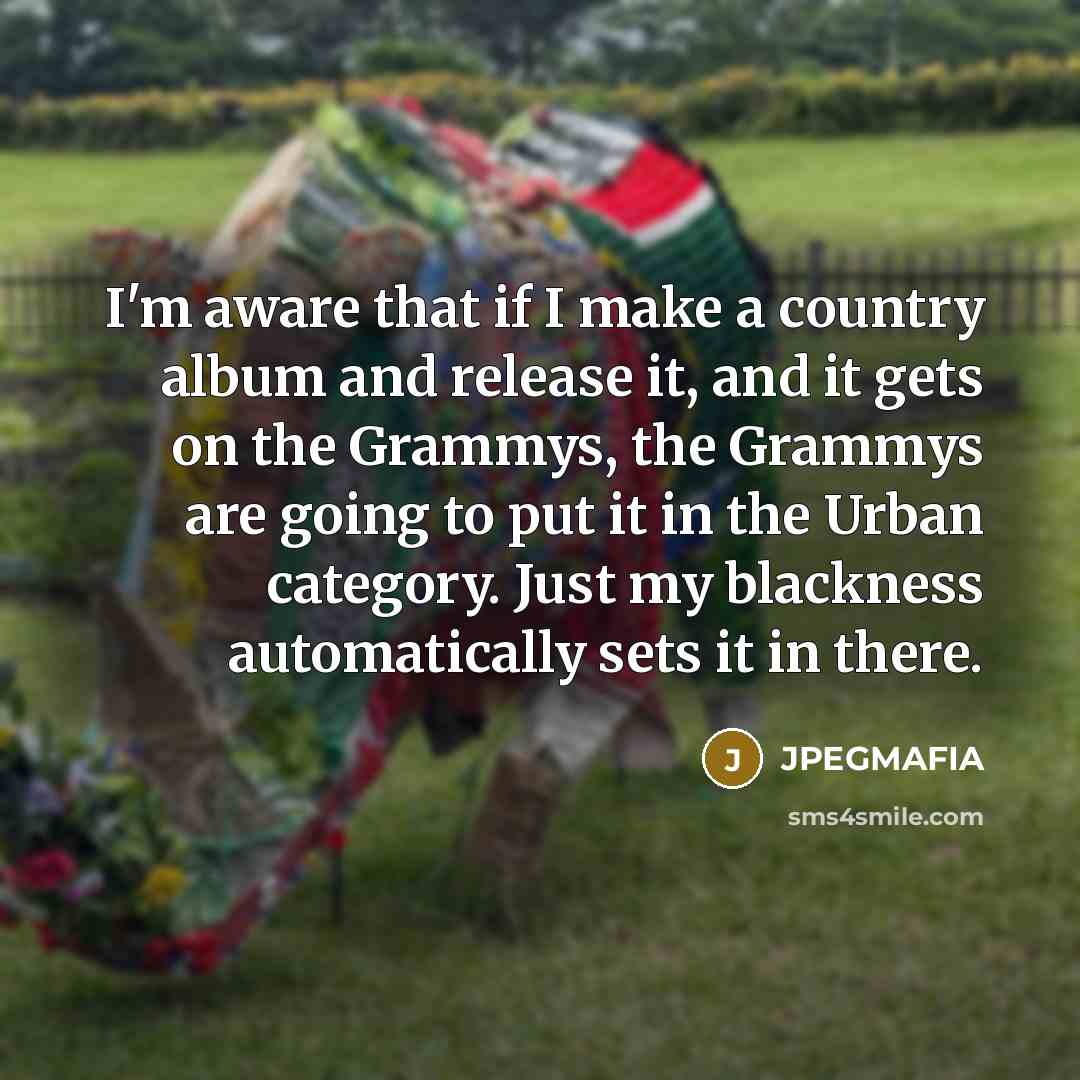 “I'm aware that if I make a country album and…” quote by JPEGMAFIA